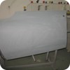 DS 21 Pallas (31)
