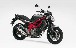 Gladius ABS